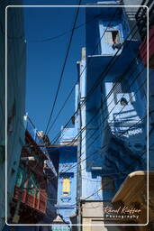 Blue City, Jodhpur (786)