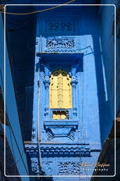 Blue City, Jodhpur (789)