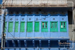 Jodhpur (792) Ciudad Azul