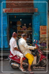 Jodhpur (809)