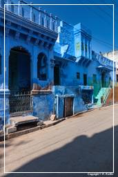Jodhpur (820) Blaue Stadt