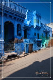 Jodhpur (820) Blue City