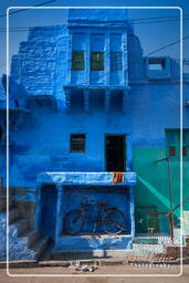 Jodhpur (824) Blue City