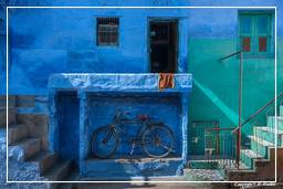 Jodhpur (825) Blaue Stadt