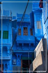 Jodhpur (835) Blaue Stadt