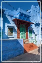 Jodhpur (842) Blaue Stadt