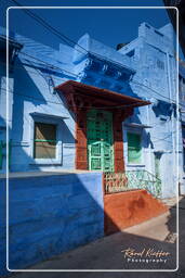 Blue City, Jodhpur (842)