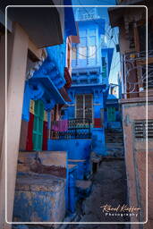 Jodhpur (850) Blue City