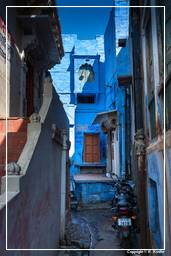 Jodhpur (855) Blaue Stadt