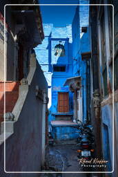 Jodhpur (855) Ville Bleue