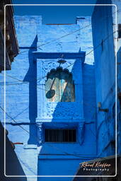 Blue City, Jodhpur (856)
