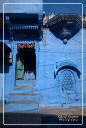 Blue City, Jodhpur (857)