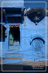 Jodhpur (857) Ville Bleue