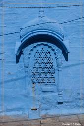 Jodhpur (858) Blaue Stadt