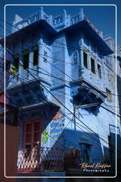 Blue City, Jodhpur (862)