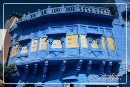 Blue City, Jodhpur (864)