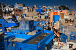 Jodhpur (883) Blue City