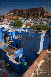 Jodhpur (884) Forte di Mehrangarh