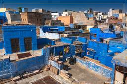Jodhpur (888) Blaue Stadt