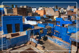 Blue City, Jodhpur (888)