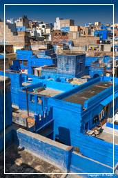 Jodhpur (890) Blue City