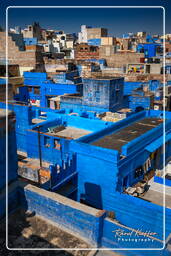 Blue City, Jodhpur (890)