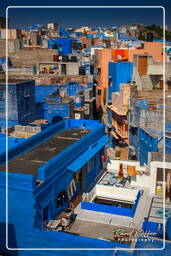 Blue City, Jodhpur (893)