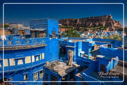 Jodhpur (894) Mehrangarh Festung