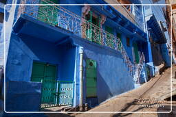 Jodhpur (896) Cidade Azul