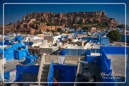 Jodhpur (938) Mehrangarh Festung