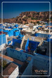 Jodhpur (940) Forte di Mehrangarh