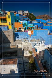 Blue City, Jodhpur (943)