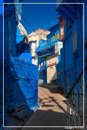 Jodhpur (952) Blaue Stadt