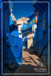 Jodhpur (952) Ville Bleue