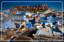 Jodhpur (953) Forte di Mehrangarh