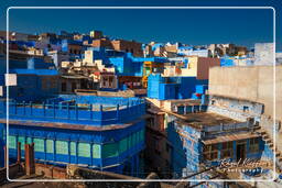 Jodhpur (957) Blue City