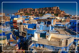 Jodhpur (966) Forte de Mehrangarh