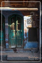 Blue City, Jodhpur (972)