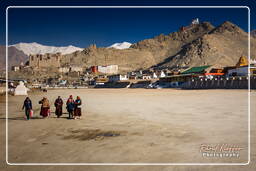 Leh (10)