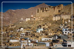 Leh (46)