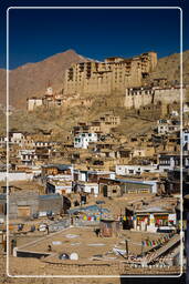 Leh (48)