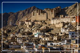 Leh (234)