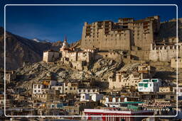 Leh (246)