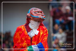 Festival of the Oracles, Matho (76)