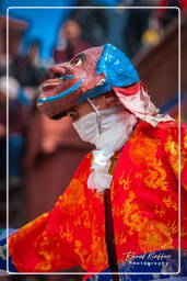 Festival of the Oracles, Matho (81)
