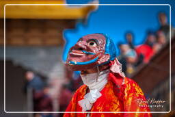 Festival of the Oracles, Matho (85)