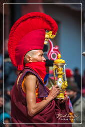 Festival of the Oracles, Matho (164)