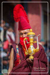 Festival of the Oracles, Matho (185)