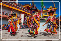 Festival of the Oracles, Matho (223)