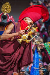 Festival of the Oracles, Matho (235)